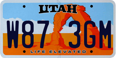 UT license plate W873GM