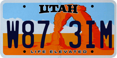 UT license plate W873IM