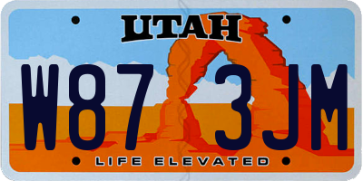 UT license plate W873JM