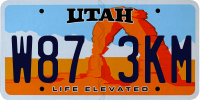 UT license plate W873KM