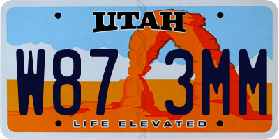 UT license plate W873MM