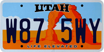 UT license plate W875WY