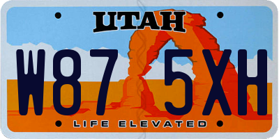 UT license plate W875XH