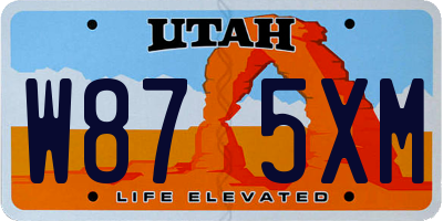 UT license plate W875XM