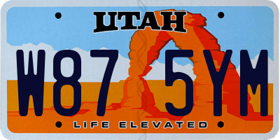 UT license plate W875YM