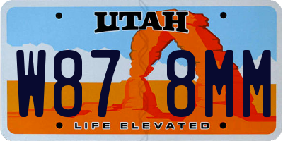 UT license plate W878MM