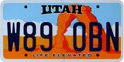 UT license plate W890BN