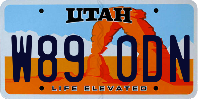 UT license plate W890DN