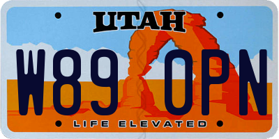 UT license plate W890PN