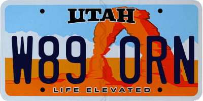 UT license plate W890RN