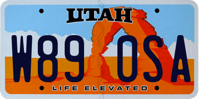 UT license plate W890SA