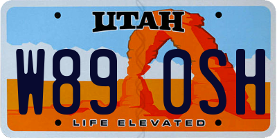 UT license plate W890SH