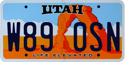 UT license plate W890SN