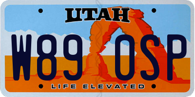 UT license plate W890SP