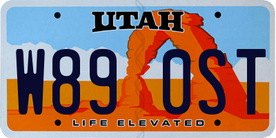UT license plate W890ST