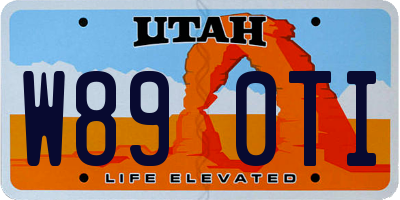 UT license plate W890TI