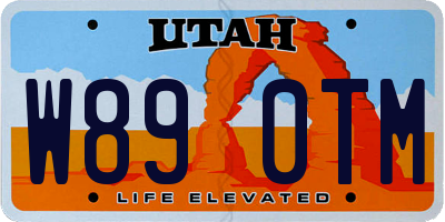 UT license plate W890TM
