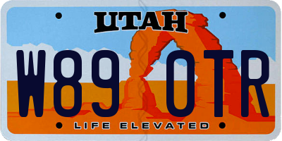 UT license plate W890TR
