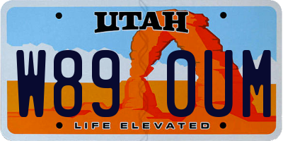 UT license plate W890UM