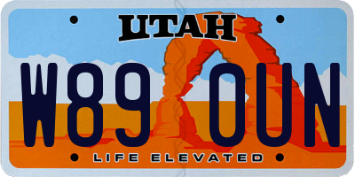 UT license plate W890UN