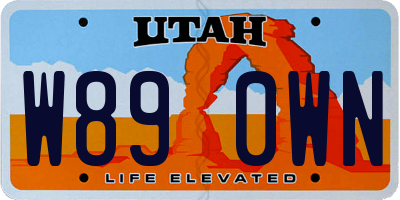 UT license plate W890WN