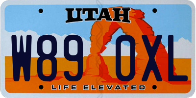 UT license plate W890XL