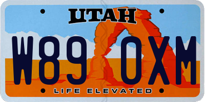 UT license plate W890XM