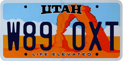 UT license plate W890XT