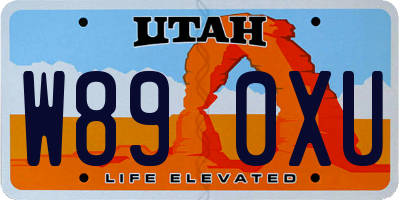 UT license plate W890XU