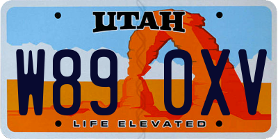 UT license plate W890XV