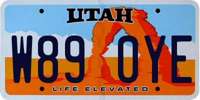 UT license plate W890YE