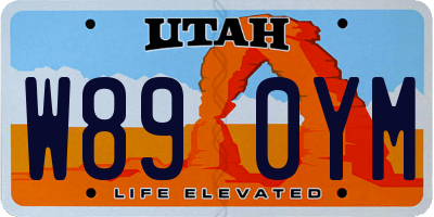 UT license plate W890YM