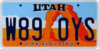 UT license plate W890YS