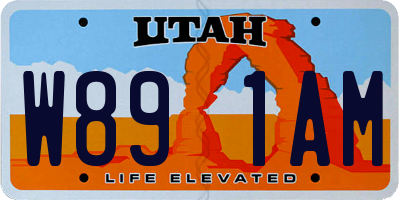 UT license plate W891AM
