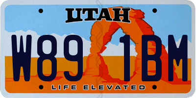 UT license plate W891BM