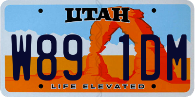 UT license plate W891DM