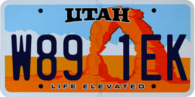 UT license plate W891EK