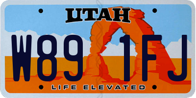 UT license plate W891FJ
