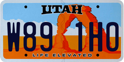 UT license plate W891HO