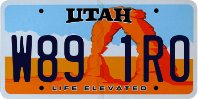 UT license plate W891RO
