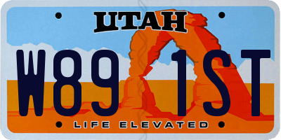 UT license plate W891ST