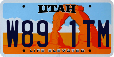 UT license plate W891TM