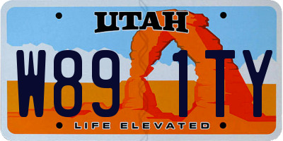 UT license plate W891TY