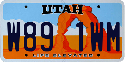 UT license plate W891WM