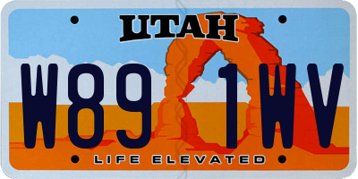 UT license plate W891WV