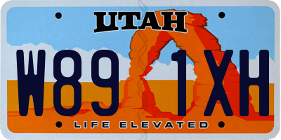 UT license plate W891XH