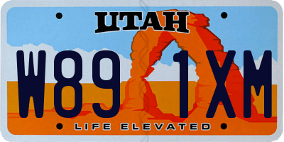 UT license plate W891XM