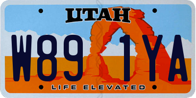 UT license plate W891YA