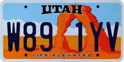 UT license plate W891YV