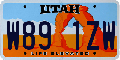 UT license plate W891ZW